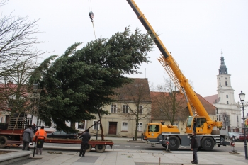 Urzd Miejski w Wolsztynie